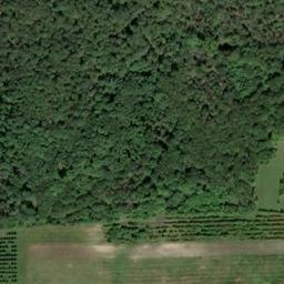 Satellite imagery of Srbsko, CZ