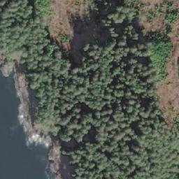 Satellite imagery of Montgomery Point, CA