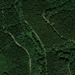 Satellite imagery of Büllinger Hardt, DE