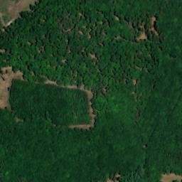Satellite imagery of Forst, DE
