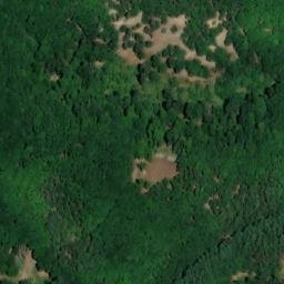 Satellite imagery of Forst, DE