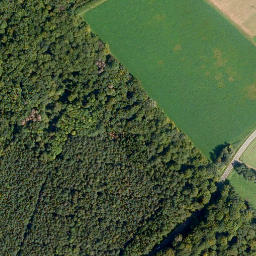 Satellite imagery of Rauher Kopf, DE