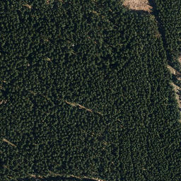 Satellite imagery of Eckartsberg, DE