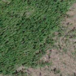 Satellite imagery of Mount Sir John, CA
