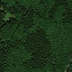 Satellite imagery of Büllinger Hardt, DE