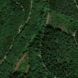 Satellite imagery of Büllinger Hardt, DE