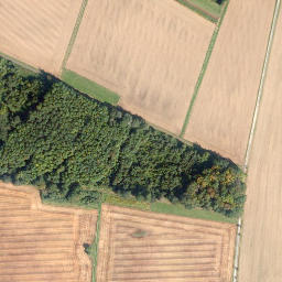 Satellite imagery of Rupberg, DE