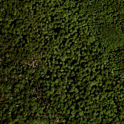 Satellite imagery of Gangolfsberg, DE