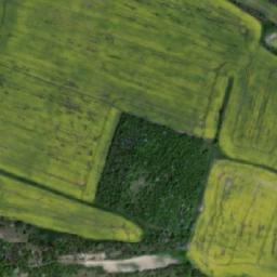 Satellite imagery of Skála [Dolánky nad Ohří], CZ