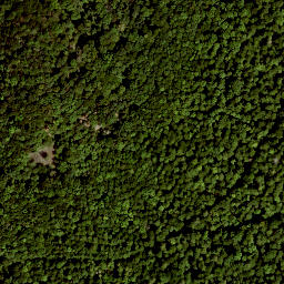 Satellite imagery of Gangolfsberg, DE