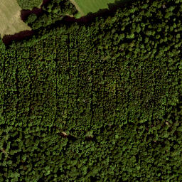Satellite imagery of Hoher Rodkopf, DE