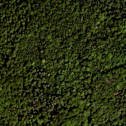 Satellite imagery of Hoher Rodkopf, DE