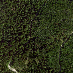 Satellite imagery of Dachsberg, DE
