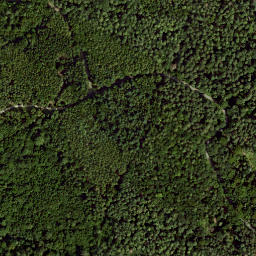 Satellite imagery of Dachsberg, DE