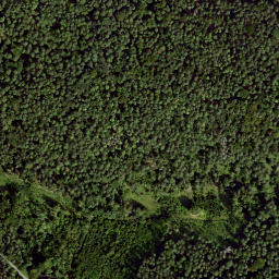 Satellite imagery of Dachsberg, DE