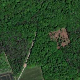 Satellite imagery of Rehberg, DE