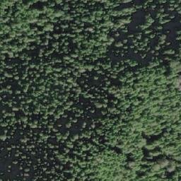 Satellite imagery of Kains Point, CA