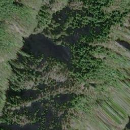 Satellite imagery of Mount Lascelles, CA