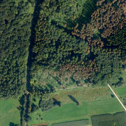 Satellite imagery of Kneidelberg, DE