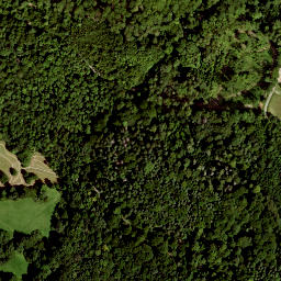 Satellite imagery of Hoher Rodkopf, DE