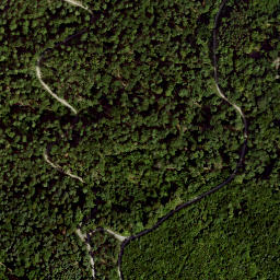 Satellite imagery of Dachsberg, DE
