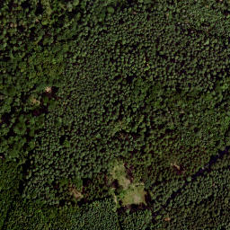 Satellite imagery of Dachsberg, DE
