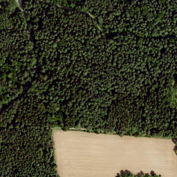 Satellite imagery of Dachsberg, DE