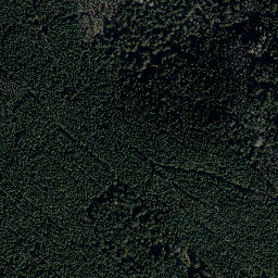 Satellite imagery of Mittelberg, DE