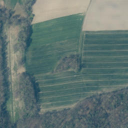 Satellite imagery of survey_point, PL