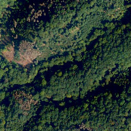 Satellite imagery of Nauorter Berg, DE