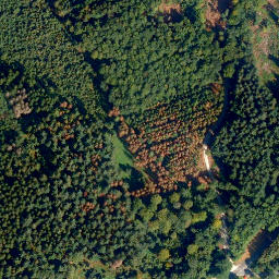 Satellite imagery of Hilgerter Höhe, DE