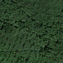Satellite imagery of Saurasenkopf, DE
