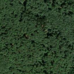 Satellite imagery of Saurasenkopf, DE