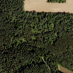 Satellite imagery of Dachsberg, DE