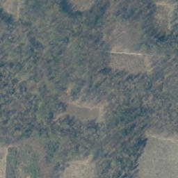 Satellite imagery of survey_point, PL