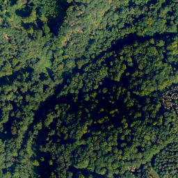 Satellite imagery of Nauorter Berg, DE