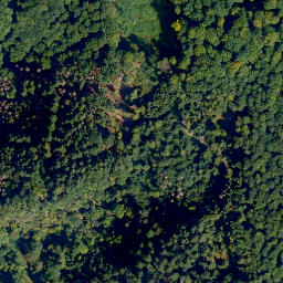 Satellite imagery of Nauorter Berg, DE