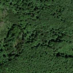 Satellite imagery of Saurasenkopf, DE