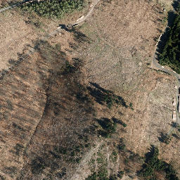 Satellite imagery of Hammerberg, DE