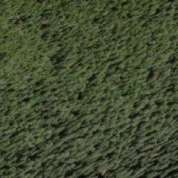 Satellite imagery of Comstock Mountain, CA
