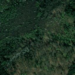 Satellite imagery of Steinige-Kopf, DE