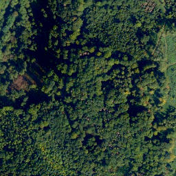 Satellite imagery of Nauorter Berg, DE