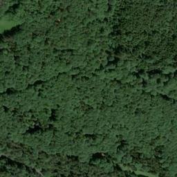 Satellite imagery of Saurasenkopf, DE