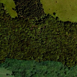 Satellite imagery of Hoher Dentschberg, DE