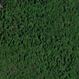 Satellite imagery of Großkopf, DE