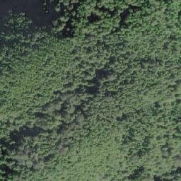 Satellite imagery of Cape Parkins, CA