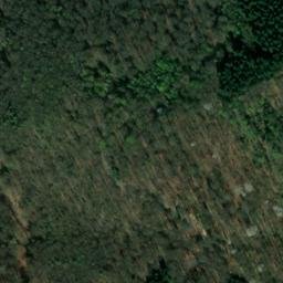 Satellite imagery of Haubüsch, DE
