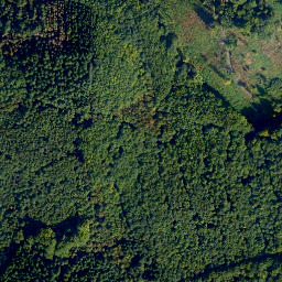 Satellite imagery of Schöll, DE