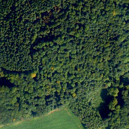 Satellite imagery of Schöll, DE