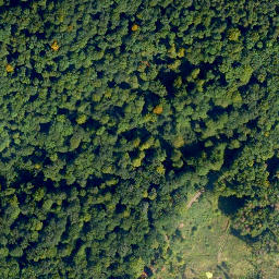 Satellite imagery of Schöll, DE